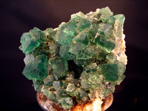 libutron:  Fluorite | ©Craig Elliott Rogerley Mine, Frosterley, Weardale, North Pennines, Co. Durham / Mined 2006, Dodgy Bugger Pocket, England. 4.5 x 3.5 x 3.5 in (11.3 x 9 x 8.9 cm) 