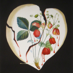malignantbloomer:Salvador Dali, Strawberry Heart (Coeur de Fraises), 1970.