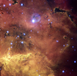 just–space:  A cosmic concoction in NGC