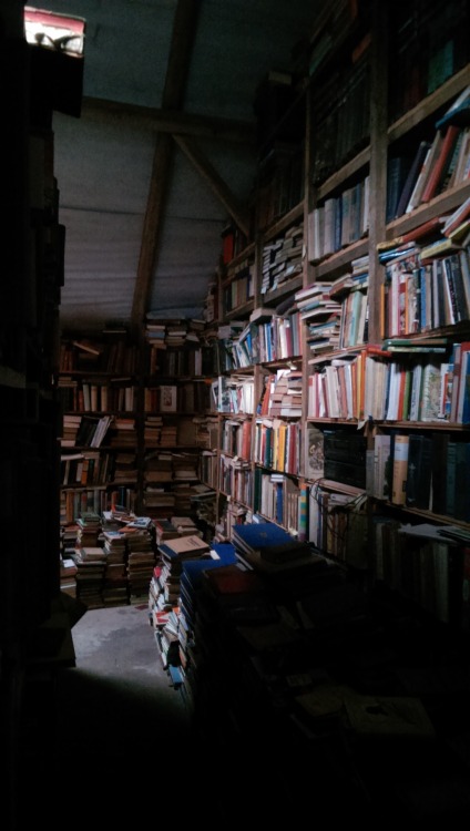 kusstherapie:  im inlove with my barn 