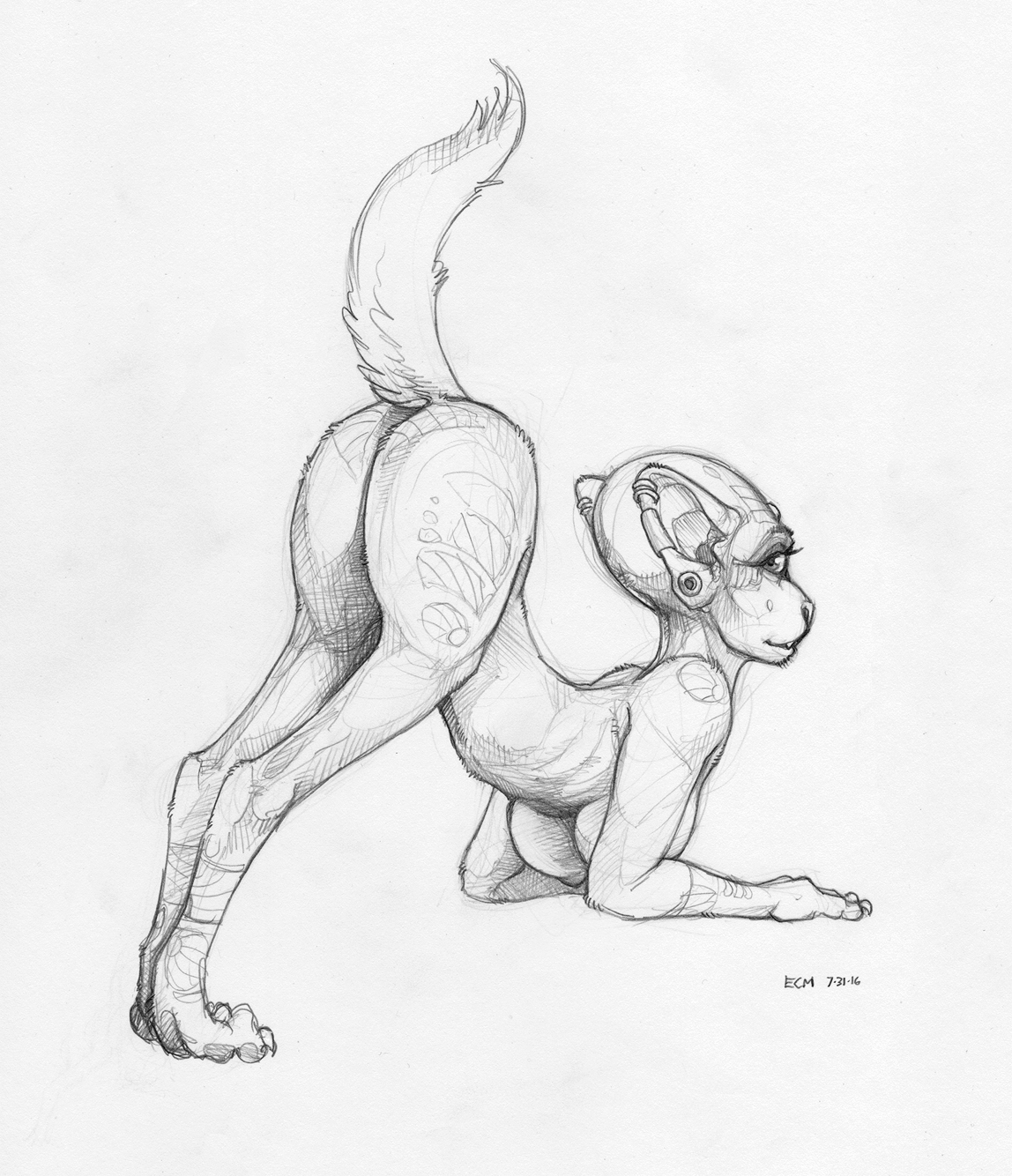 A random quick sphinxythingi wanted to do an ass-up posewhat can i say