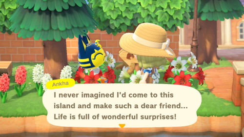 everyone deserves an ankha in their life