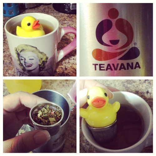 curvymovement: My little #buddy kept me company all day today #duck #teainfuser #teavana #ihatebein