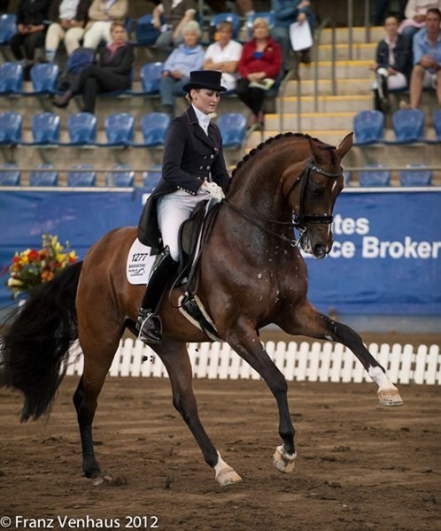 aussiedressage:One of Australia’s top dressage teams, Maree Tomkinson and her superb mare Diamontina