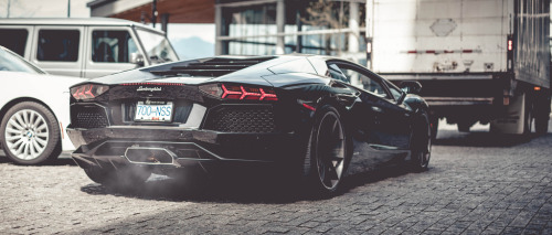 automotivated:  Impatient Bull (by nzadrafi) 