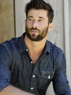 beards carefully curated