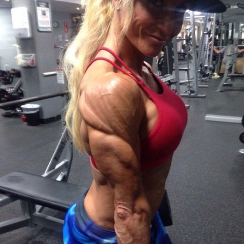 femalemuscletalk:  Triceps Tuesday!   #femalemuscle  #femalebodybuilding  #bodybuilding  #fitness  #femalewrestlers  #bikini  femalemuscle.com