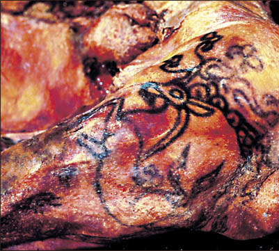 THE MOST ANCIENT TATTOO 2.5OO YEAR OLD “RE -MAKE BY ME”LINK: “siberiantimes