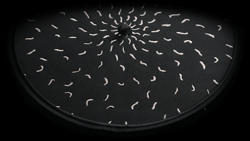 crossconnectmag:The Embroidered Animations of  Elliot SchultzEmbroidered Zoetrope is a series of emb