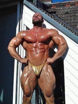 Muscle Bear