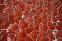 unrar:    Algae gives a red color to the hyper-saline waters of Lake Natron, Kenya. George Steinmetz. 