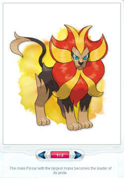 megahoppip:  matthiscitrus:  megahoppip:  boycotting pyroar due to nintendo’s gender binary bullshit  Are you fucking kidding me? Do you realize that Sexual dimorphism is a real thing Lions are possibly the most commonly cited example of it These pokemon