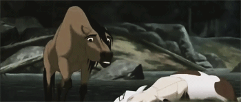 spiritstallion:  .. because we never really move on, we never really forget. 