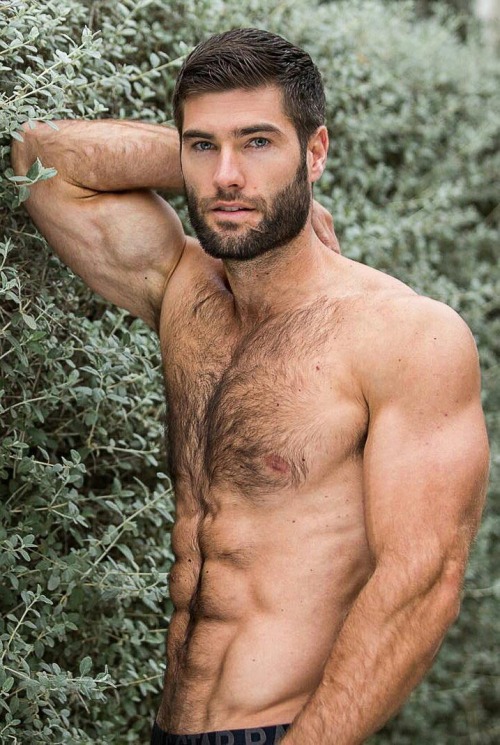 Random Studliness