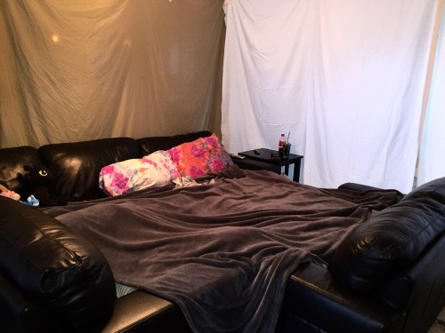 daddyandhisbabygirll:  We turned the living room into a blanket fort 