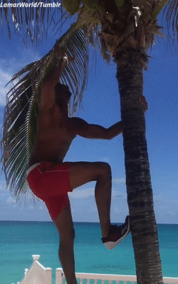 lamarworld:  (Pt.3) GIFS of Jessie T Usher booty