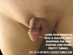 lovebeinghercpb:  life-as-a-hotwifes-cuckold:  I’m getting laser treatment very soon.  Please follow us @ http://life-as-a-hotwifes-cuckold.tumblr.com for more hotwife/cuckold images. If it makes you hot, pass us along by re-blogging.      (via TumbleOn)