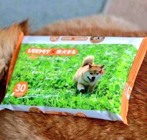 How to make an Instapuppy!! (Picture on packaging looks like a Shiba Inu dog, yet a Pomeranian puppy