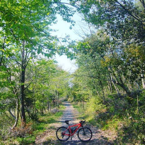 biwakofreeride: #roadbike #gravel #ride #soloride #ridesolo #cannondale #slate #cannondaleslate #can