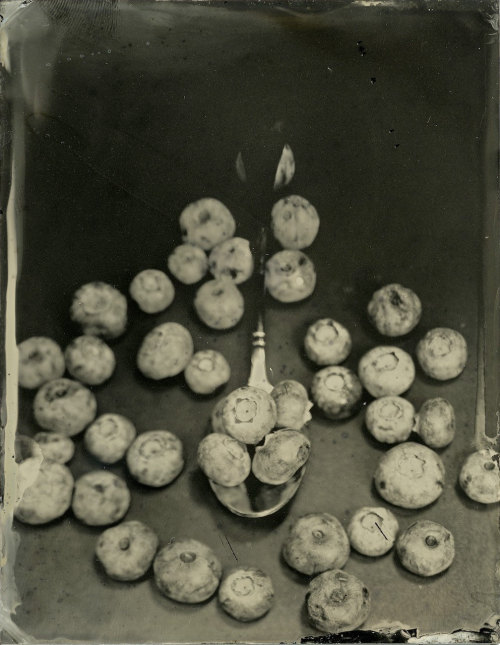 Porn photo brookelabrie:  Blueberries and Spoon Tintype©