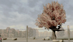 rosanrot:  it’s just a bad dream, sweet pea 