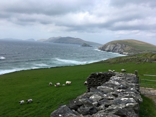 Dingle Peninsula, Ireland