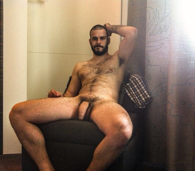 furryhotbears:  🐻 