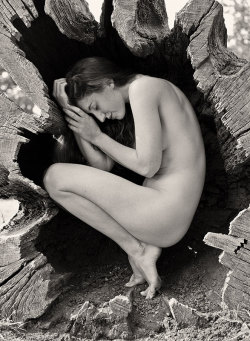 Funculo:  Katy_T And The Fallen Tree 5 By Jeremyhowitt 