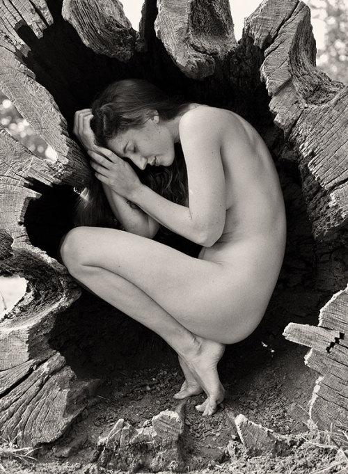 funculo:  Katy_T and the fallen tree 5 by porn pictures