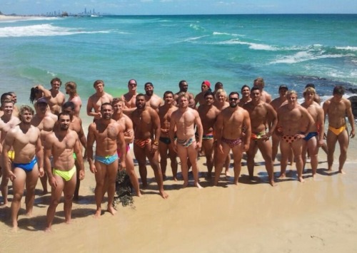 musclsvg:  A horde of hot, hard bodied, hung, hunks in Speedos.  Each one an impressive specimen.  Still, some do stand out from the crowd.  Photo composite by MuscleSavage from posting on thehurricanezone.tumblr.com.