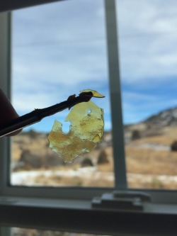 daily-slabs:  Dabs so clear the camera had