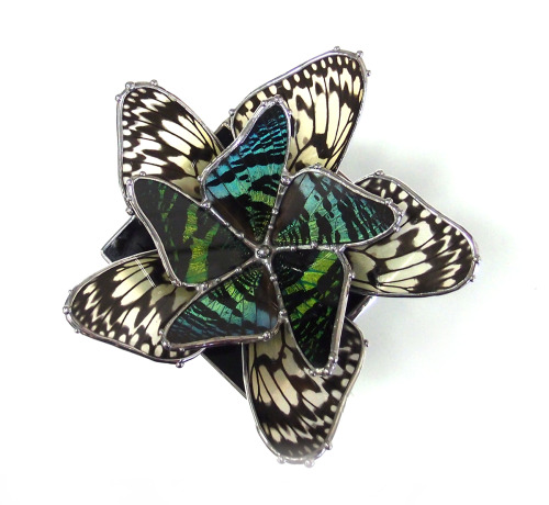 Stained glass boxes with real butterfly wing ‘flowers’. www.etsy.com/shop/neile