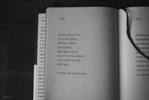 “May I love every dying thing”When my mother visited our relatives in Korea I asked her 