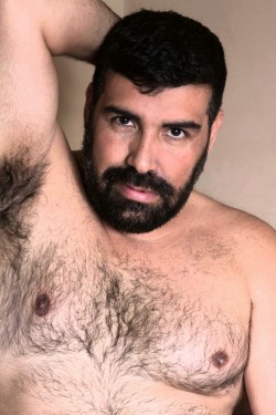 daddy-bear-hunter:  daddy-bear-hunter 