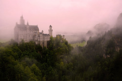allthingseurope:  Neuschwanstein Castle, Germany (by Bernat Beata) 