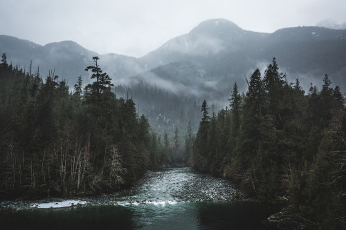 robsesphoto:  Vancouver Island, BC   My northern adult photos