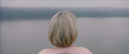 filmswithoutfaces:Swallow (2019)dir. Carlo Mirabella-Davis