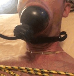 iron9999:My slave boy in gagged action- lol