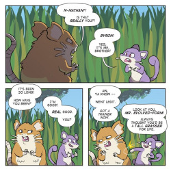 beartrapt:  rick-sanchez:  dorkly:  Rattata Family Reunion  WHAT THE FUCK THIS IS SO FUCKING SAD I WAS NOT EXPECTING THIS  no mercy  