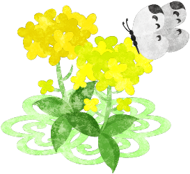 春のフリーのイラスト素材 綺麗な菜の花のイラスト Free Illustration Of フリー素材のatelier B W 加工 印刷 商用利用可能