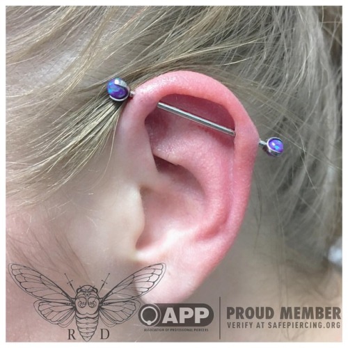 raydan05: Fresh industrial piercing with purple opal prong set beads from @industrialstrength and po