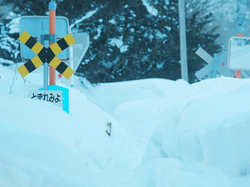 埋もれ路(じ)第四種踏切。雪が多いからか、毎年のことなのか人ひとりが通れる幅しか雪かきされてない。プリミティブな踏切って、いい。