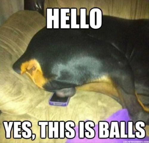 stanley-tsaii:  poopinginschool:  im sorry  AAHHAHAHAH.