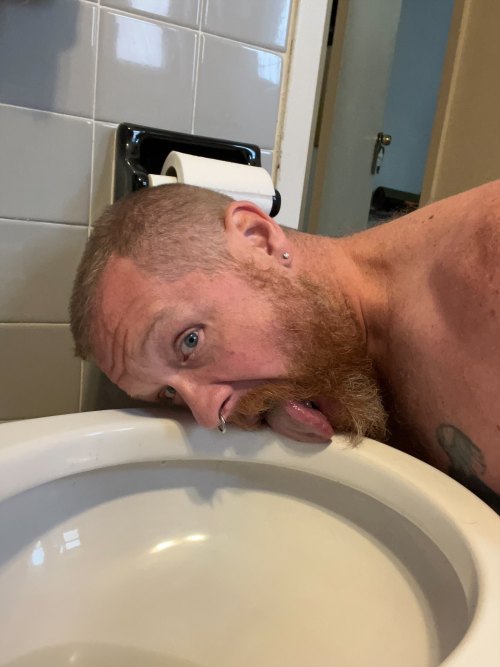 What A Pig.