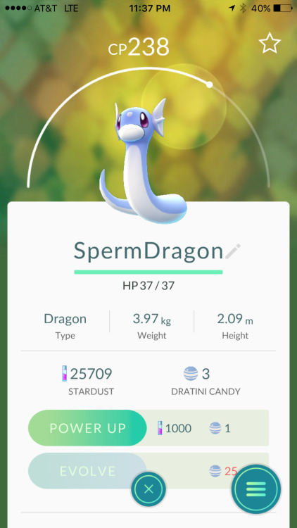 roysyesterdayjam:Been a good few days of hunting. Shame to see PokeVision go away.