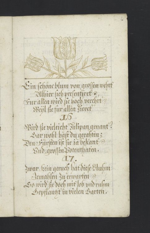 Ms. Codex 1114 - Franckfurter Blumgarten oder geistliches Gedenckzeichenn, darin underschiedliche li