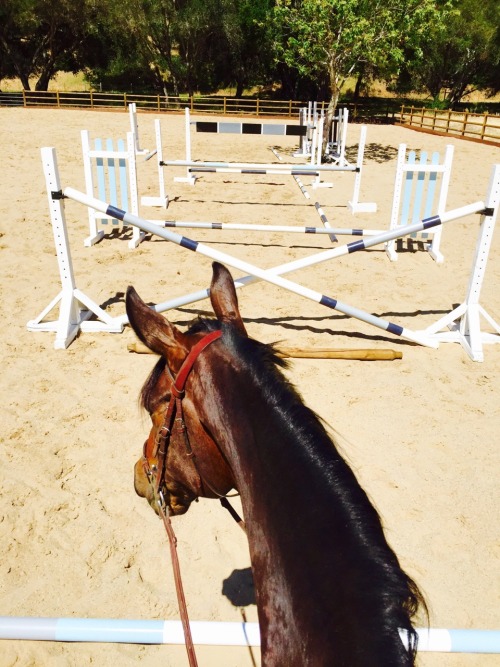 classyeq: thatlongstride:  More grid work with the monkey man  i love those jumps!