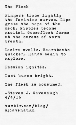 sjcavenaugh: The Flesh by Steven J. Cavenaugh