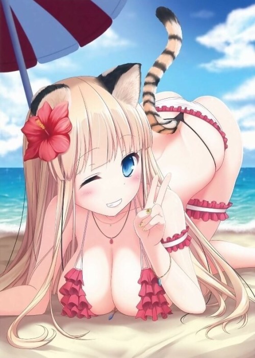 Beach kitty