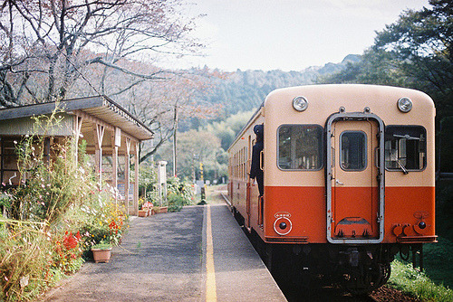 murallamuerta: